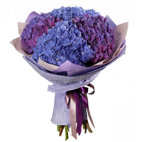 Монобукет «Фиолетовая гортензия»