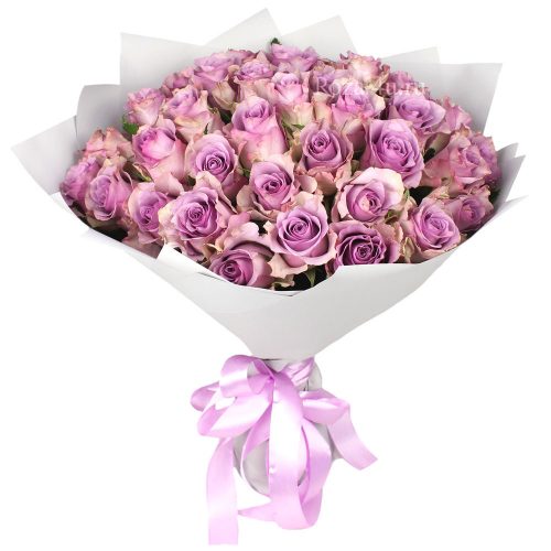 Монобукет роз «Фиолетовая мечта»