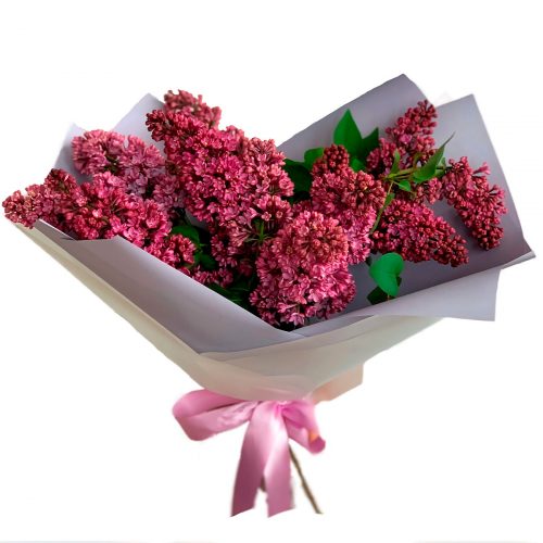 Монобукет сирени «Фиолетовый секрет»