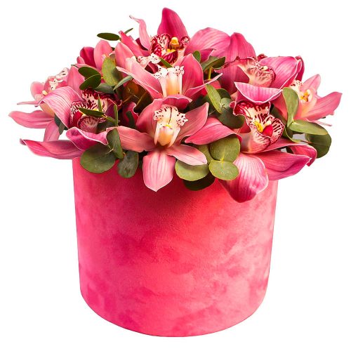 Цветы в шляпной коробке «Орхидеевый рай»